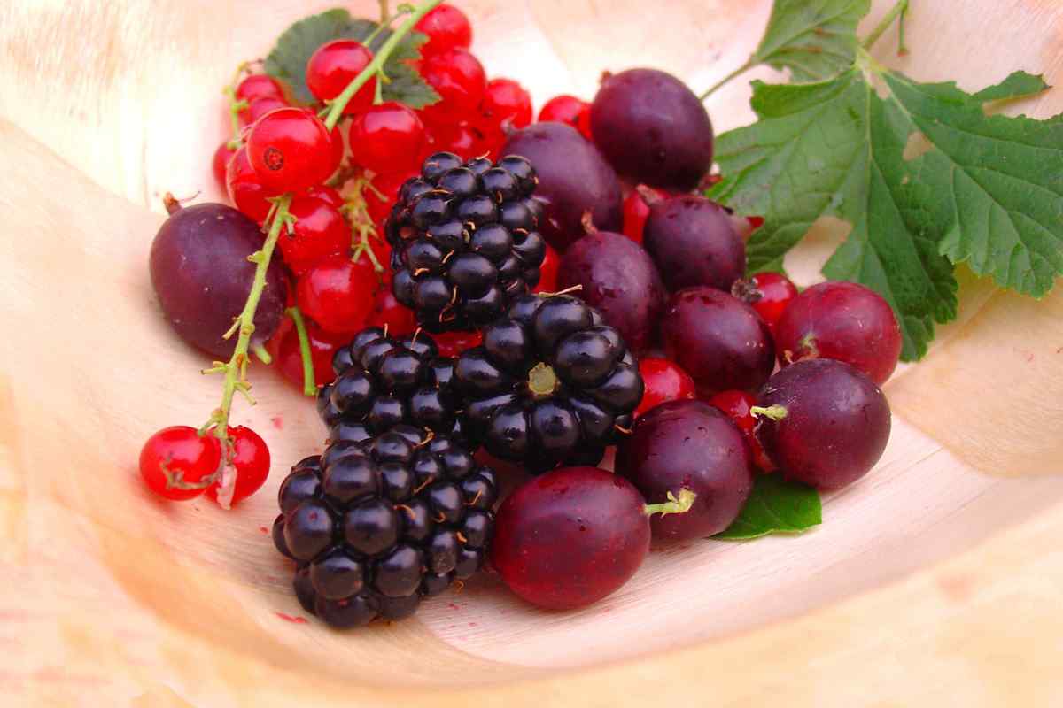 Frutti rossi e di bosco con chicchi d'uva rossa