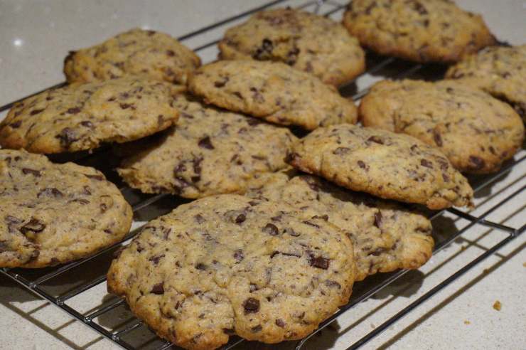 cookies con gocce di cioccolato sopra la griglia del forno